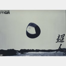 宮澤さんの作品（Ｃ）日刊ゲンダイ