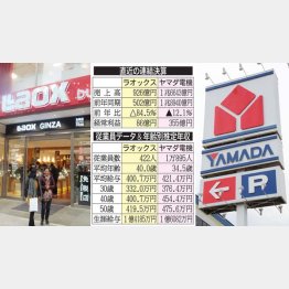 生涯給与はヤマダ電機が多い（Ｃ）日刊ゲンダイ