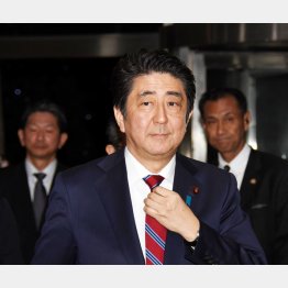 選挙アピールしか頭にない（Ｃ）日刊ゲンダイ