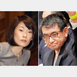 デタラメを流布して平然の丸川大臣（左）と大臣になった途端に反原発を封印した河野大臣（Ｃ）日刊ゲンダイ