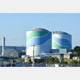 今すぐ稼働停止すべき（川内原発）／（Ｃ）日刊ゲンダイ