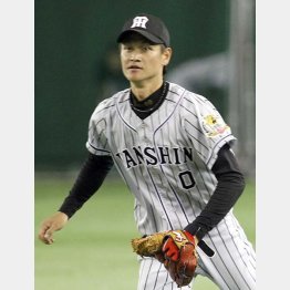 守備は名手の域（Ｃ）日刊ゲンダイ