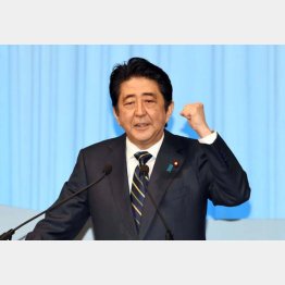 安倍首相の発想は時代錯誤（Ｃ）日刊ゲンダイ