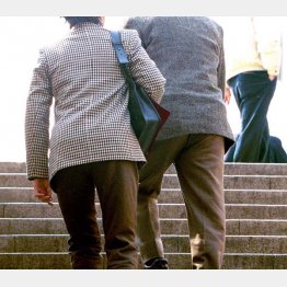 写真はイメージ（Ｃ）日刊ゲンダイ