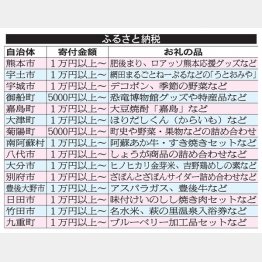 各自治体ごとに特色がある（Ｃ）日刊ゲンダイ