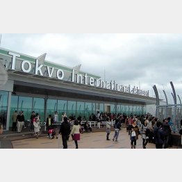 航空券の価格比較サイトは人気（Ｃ）日刊ゲンダイ