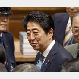 言い間違いなのか（Ｃ）日刊ゲンダイ