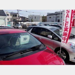 写真はイメージ（Ｃ）日刊ゲンダイ