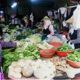 市場には新鮮な野菜がズラリ（提供写真）