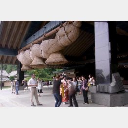 意外に不人気な出雲大社（Ｃ）日刊ゲンダイ