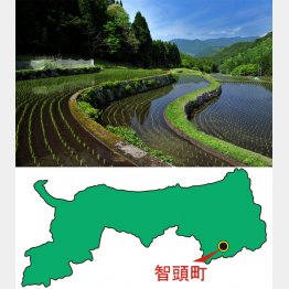 美しい棚田も智頭町の魅力（提供写真）