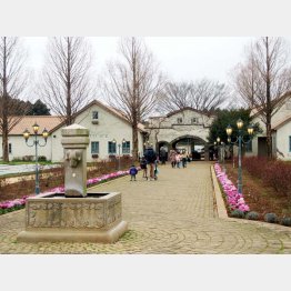 フランスをイメージした園内（Ｃ）日刊ゲンダイ