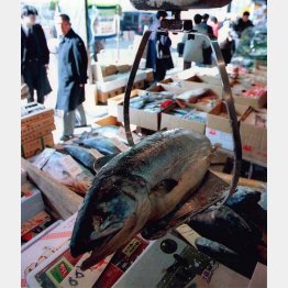 “場内”が丸ごと引越し、“場外”は築地に残る（Ｃ）日刊ゲンダイ