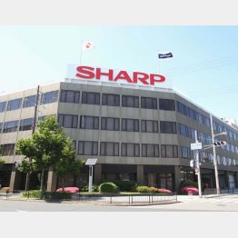 （Ｃ）日刊ゲンダイ