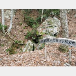 山の中腹に位置する「オトチの洞穴」／（Ｃ）日刊ゲンダイ