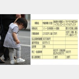 学資保険の被保険者になれるのは未就学児のみ（Ｃ）日刊ゲンダイ
