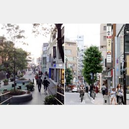 都内のおしゃれエリアが危ない（Ｃ）日刊ゲンダイ