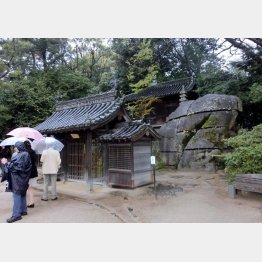 後楽園（提供写真）