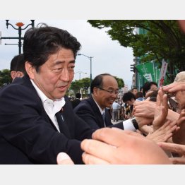 ダマされてはいけない（Ｃ）日刊ゲンダイ