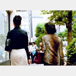 写真はイメージ（Ｃ）日刊ゲンダイ