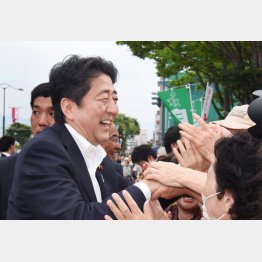 １０日は奈良で有権者とタッチ（Ｃ）日刊ゲンダイ