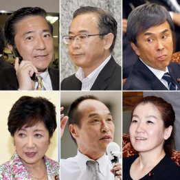 左から時計回りに、長島昭久衆院議員、桜井俊事務次官、石原伸晃経再相、谷亮子参院議員、東国原英夫元宮崎県知事、小池百合子元防衛相（Ｃ）日刊ゲンダイ