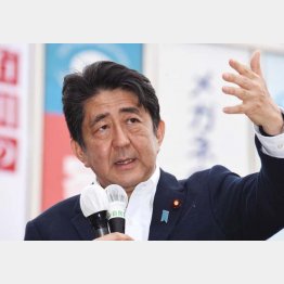 もっぱら１人区を遊説（Ｃ）日刊ゲンダイ