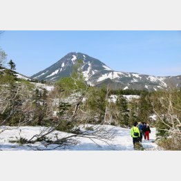 日本百名山の羅臼岳を望む（Ｃ）日刊ゲンダイ