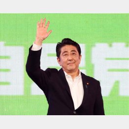 参院選前の争点化を避けたいだけ（Ｃ）日刊ゲンダイ