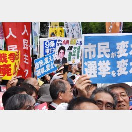 もう騙されてはいけない（Ｃ）日刊ゲンダイ