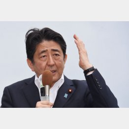 争点のスリ替え（Ｃ）日刊ゲンダイ