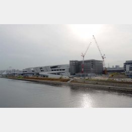 完成間近の豊洲新市場は“欠陥”だらけ（Ｃ）日刊ゲンダイ