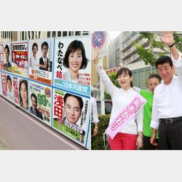 松川・石川・浅田氏は当選圏内（左）、知名度に欠ける高木かおり氏／（Ｃ）日刊ゲンダイ