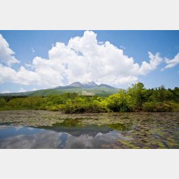 いもり池（Ｃ）日刊ゲンダイ