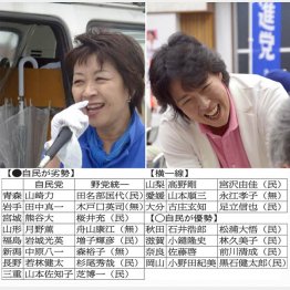 愛媛（左）と青森で野党が大健闘／（Ｃ）日刊ゲンダイ