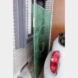 ガレージではトス打撃を（Ｃ）日刊ゲンダイ