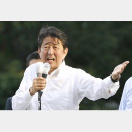 騙されてはいけない（Ｃ）日刊ゲンダイ