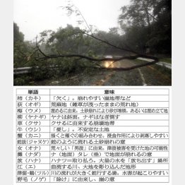 災害とはおよそかけ離れているような地名に「災害のサイン」が（Ｃ）日刊ゲンダイ