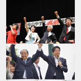 舟山康江（上）と月野薫（Ｃ）日刊ゲンダイ