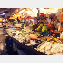 マカオ タイパ島（Ｃ）日刊ゲンダイ