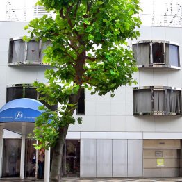 ジャニーズ事務所（Ｃ）日刊ゲンダイ