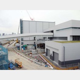 建設中の豊洲新市場（Ｃ）日刊ゲンダイ