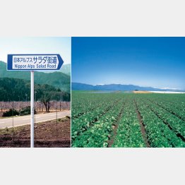 野菜の香りが漂ってくる（Ｃ）日刊ゲンダイ