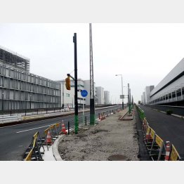 仲卸棟（右）と卸棟は国道３１５号で仕切られている（Ｃ）日刊ゲンダイ