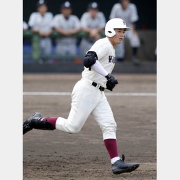 早実・清宮の実力はピカイチだが（Ｃ）日刊ゲンダイ