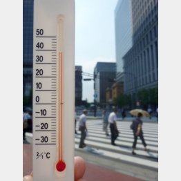 最も暑かった2010年と酷似（Ｃ）日刊ゲンダイ