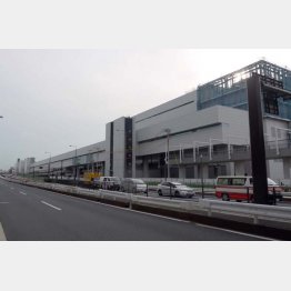 閉鎖型市場には「冷房」必須（Ｃ）日刊ゲンダイ