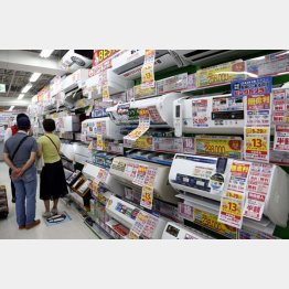 酷暑の夏には嬉しい結果が出た（Ｃ）日刊ゲンダイ