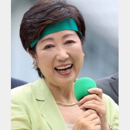 最新の情勢調査では軒並みトップを走る（Ｃ）日刊ゲンダイ