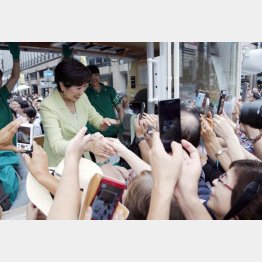 本性を見極めないと…（Ｃ）日刊ゲンダイ